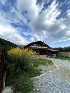 Cabană la poalele munților cu ciubăr