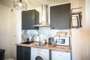 Magnifique appartement T2 rénové Aux vendanges Gaillac