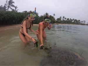 White Lion Paradise Dikwella