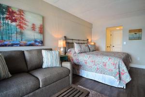 202B One Bedroom One Bath