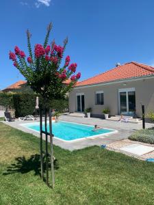 Tony's house with private pool, garden and parking 