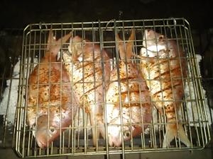 St Lucia Villa Mia 11