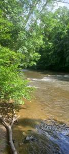 Campings Les Berges Du Cele : photos des chambres