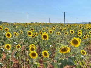 Maisons de vacances Holiday home Verdon with private pool and view : photos des chambres