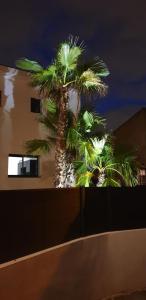 Villas SUD VILLA DE LUXE - 10 MN DES PLAGES - JACUZZI - COUPE DU MONDE de RUGBY : photos des chambres