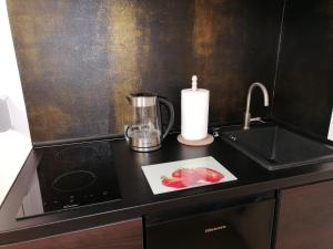 Apartament u Przewodnika Sudeckiego