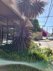 OBLIGADO ESTUDIO SAN PEDRO