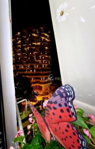 Lovely new apartment near Tiranas artificial Lake