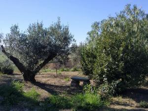 Masseria Baglio Perciata