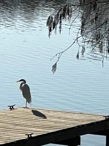 Kingwood Cottage - 10 mins from IAH - Lake Front - Porter