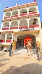 Golden Bird Pushkar