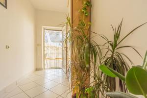 Magdalena with mountain and seaview