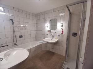 Apart Koflers Panorama-Zillertal