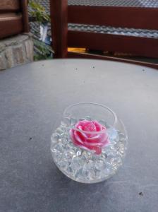 Turistična kmetija Štupar