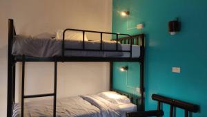 Blue Moon House - A budget hostel for easy travellers