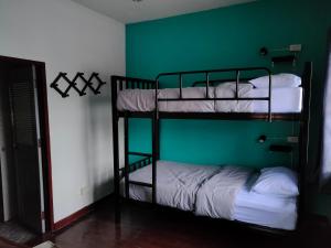 Blue Moon House - A budget hostel for easy travellers