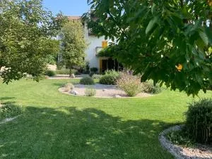 House Wisteria - Iamiano