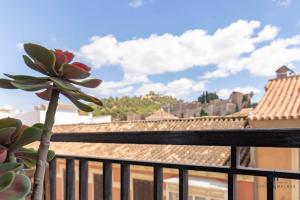 Living4Malaga Picasso Deluxe Apartment