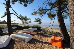 Maisons de vacances Belle villa pour 7 personnes a 200 m de la plage du Betey : photos des chambres