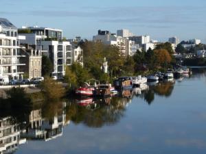 Appartements Studio Gare - Jardin des Plantes - wifi & calme : photos des chambres