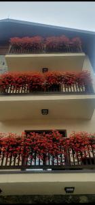 Apartmani Aleksandra