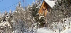 Alpenchalet Grabner Alm am Präbichl