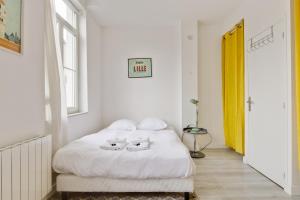 Appartements Nice and calm studio in Lille-Europe nearby the Old City - Welkeys : photos des chambres