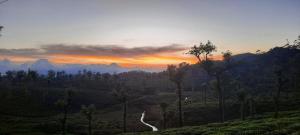 Honeybee Homestay by The Jungle Stay Groups