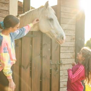 Apartamenty Pod Dębami