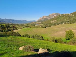 B&B / Chambres d'hotes Ferme de Roccapina : Chambre Double