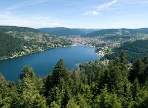 Appartements Beau duplex a proximite du lac de Gerardmer avec place de parking : photos des chambres