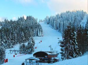 Appartements Beau duplex a proximite du lac de Gerardmer avec place de parking : photos des chambres