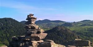 Lodges Bulle de Bois, ecolodge insolite avec spa privatif au milieu des volcans - Bulles d'Herbe : photos des chambres