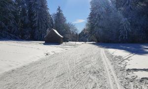 Lodges Bulle de Bois, ecolodge insolite avec spa privatif au milieu des volcans - Bulles d'Herbe : photos des chambres