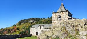 Lodges Bulle de Bois, ecolodge insolite avec spa privatif au milieu des volcans - Bulles d'Herbe : photos des chambres