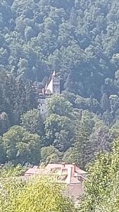 Casa Happy Family Bran