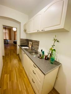 Nice apartment Hollergasse 22