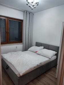 Opera Kołobrzeska 6 SUPER VIP