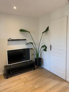 Appartement duplex proche zénith, mégacité, stade