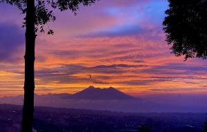 Alinson Sunset Hill