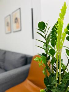 Likourgou Suite Dialog Number 1 VIPGreece