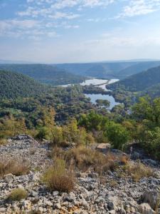 Olive Tree House with Jacuzzi, WiFi and 40m2 pool