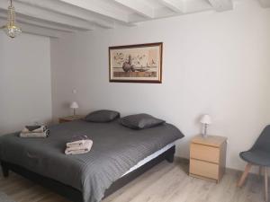 Charmant Gîte au calme, coeur Touraine, proche châteaux et Chenonceaux