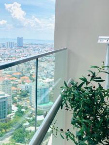 Căn Hộ 1 Phòng Ngủ (One-Bedroom Apartment)