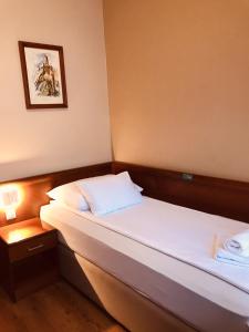 Single Room room in Hotel Bristol