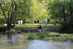 Maisons d'hotes La Ferme de Plenoise Chambres d'hotes : photos des chambres