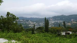 Morrison Hotel San Salvador