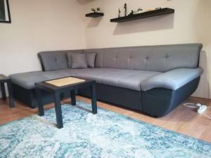 Viki Apartment CENTAR