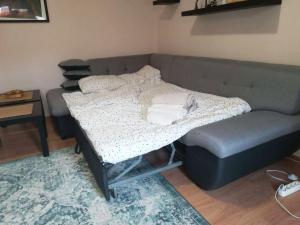 Viki Apartment CENTAR