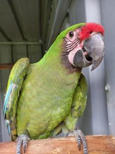 Quinta do Lordelo Turismo Rural